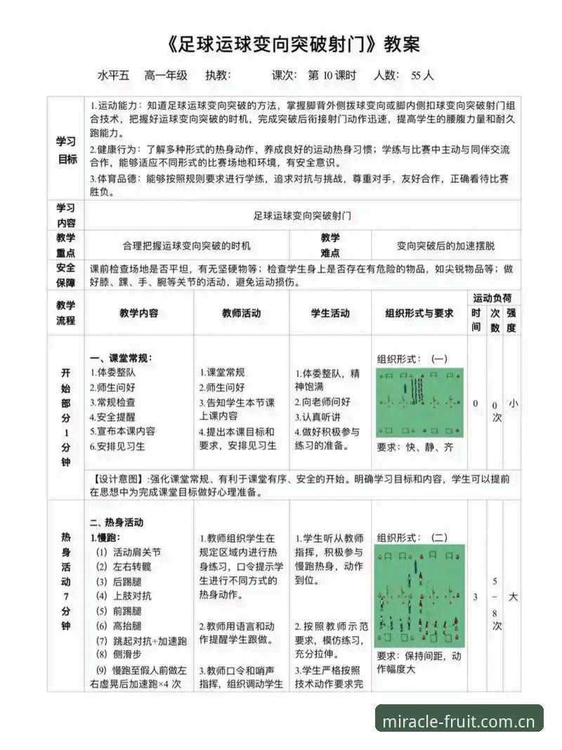 奇异果体育新手入门实用指南——从下载到顺畅观赛的必备知识