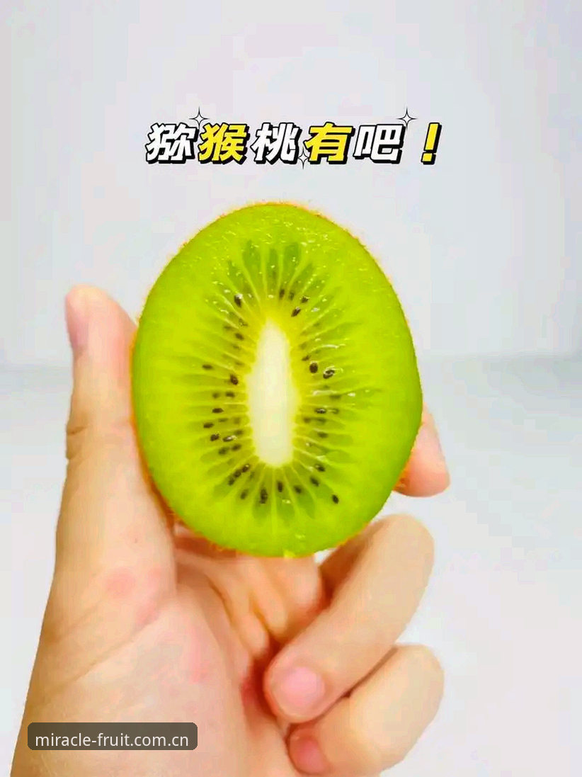 奇异果iOS版完整操作教程：从下载安装到赛事体验全流程解析