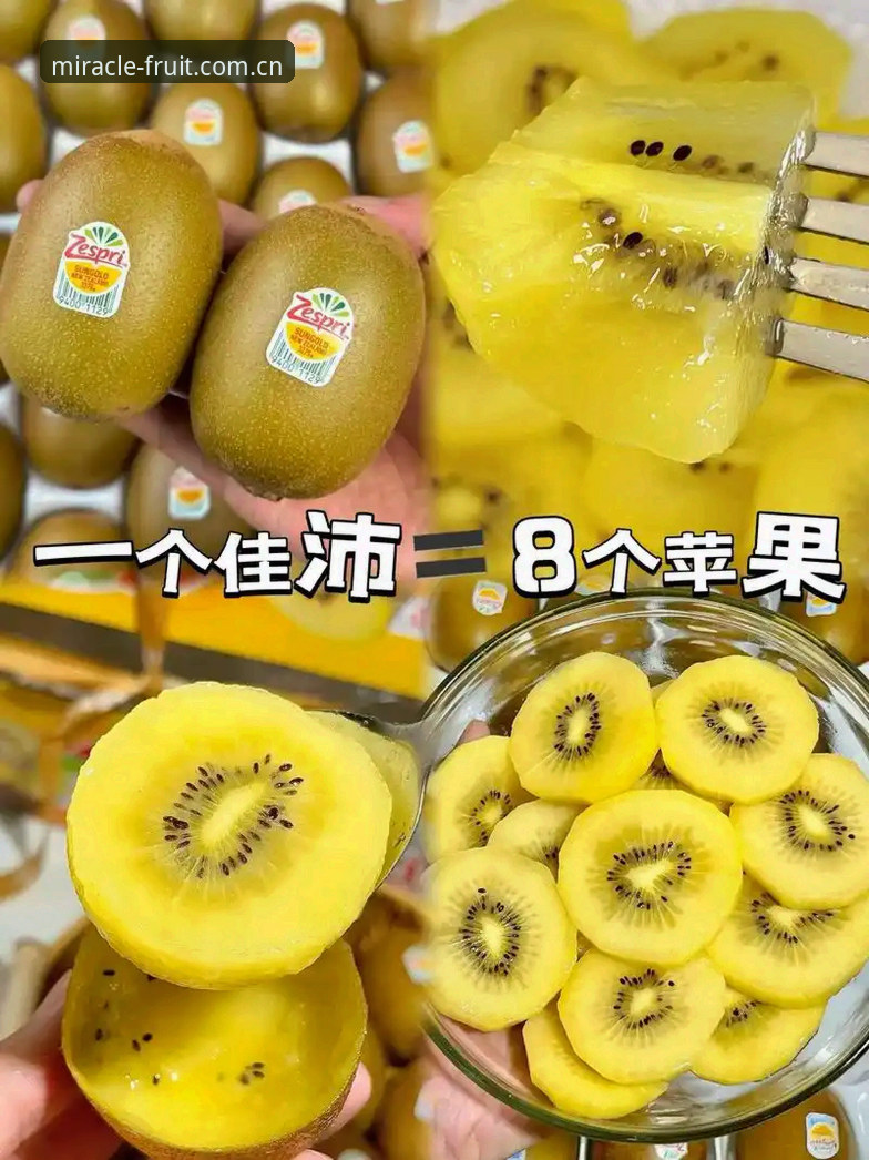 揭秘奇异果客户端下载对比：不同渠道背后的真相