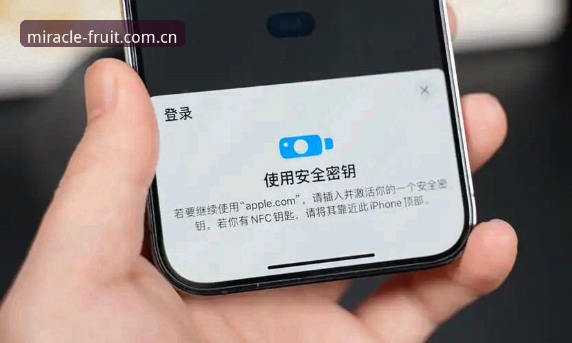奇异果iOS版安全检测与使用教程：从下载到安装的完整操作指南